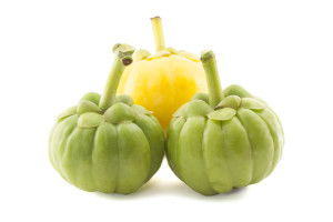 garcinia-cambogia