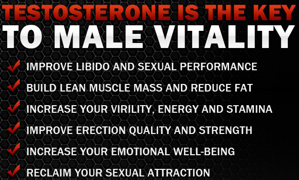 how-to-increase-testosterone